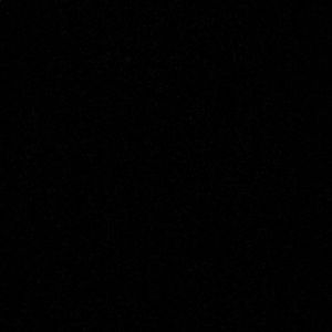 Meet your Posher, Peyton